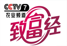 蒙北燕麦登录CCTV7央视[致富经]李刚岭赔光6000万之后如何成为中国天然燕麦第一人